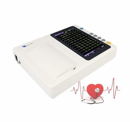 Portable 3 Channel ECG Machine with 7 Inch Touch Screen and Thermal Array Printer for Real-time/Offline Analysis