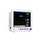 Vital Signs Monitoring Uninterrupted Bedside Monitor​ 12 Inch
